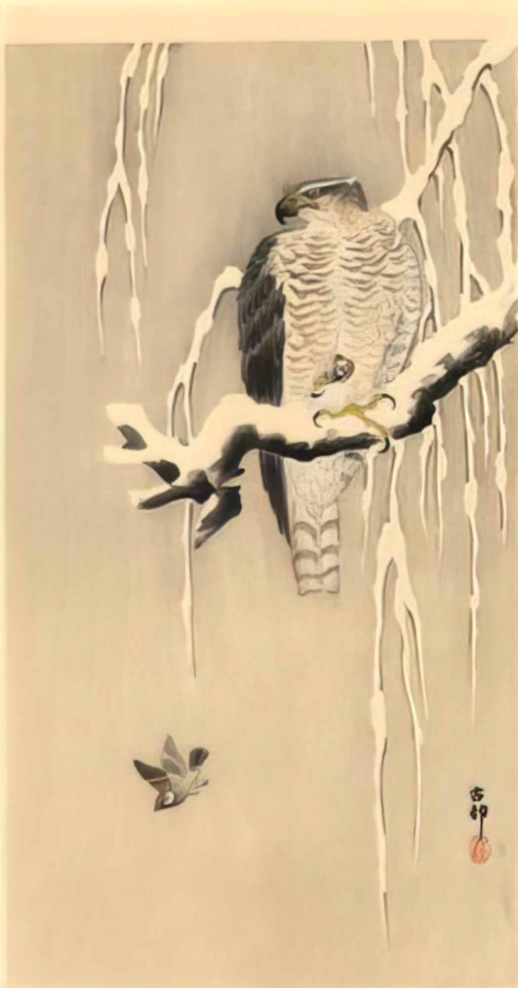 Ohara Koson goshawk on snowy branch Art A4 Photo Print