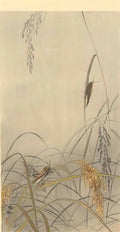 Ohara Koson grasshoppers on rice plants Art A4 Photo Print