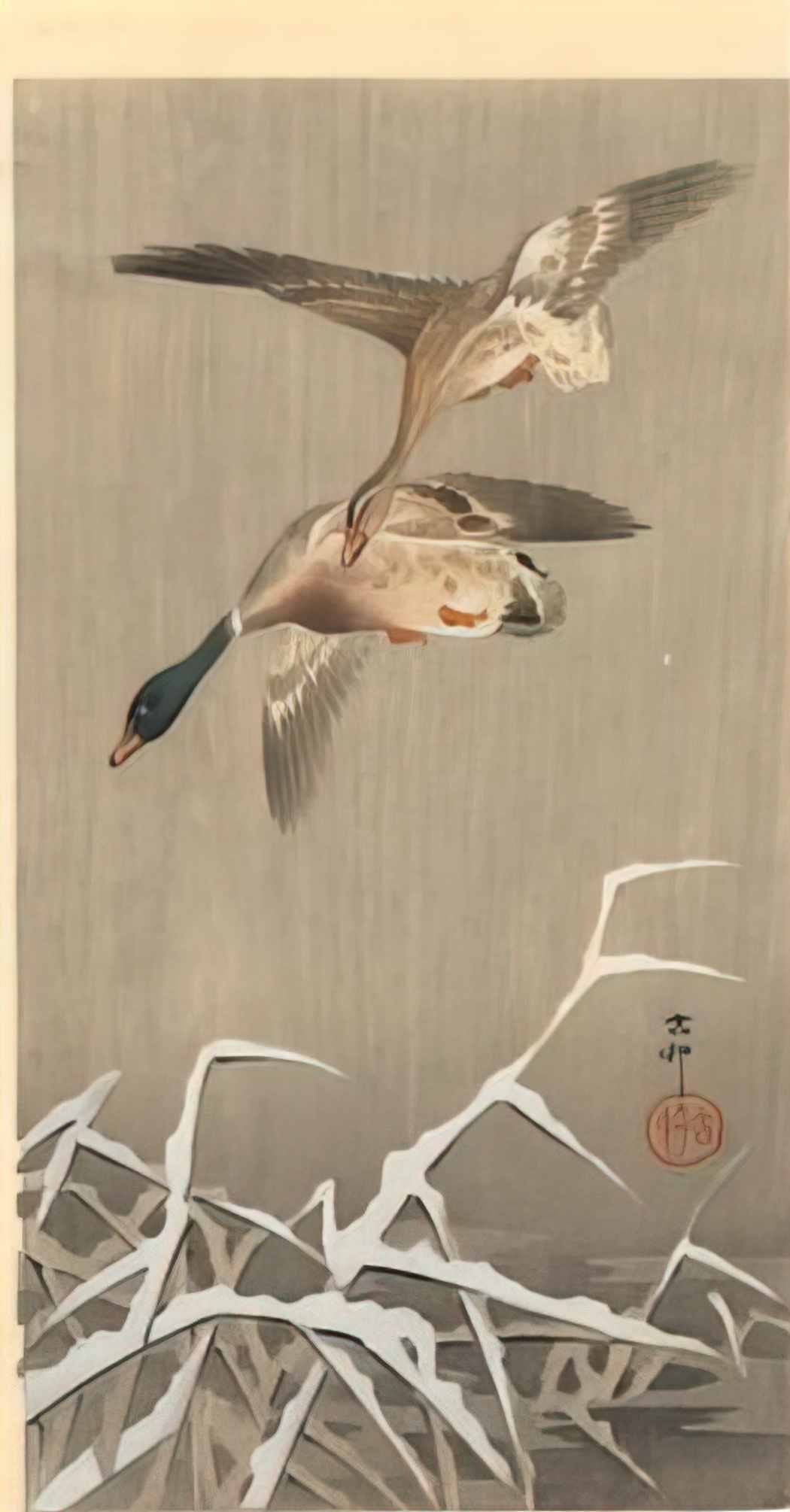 Ohara Koson mallards Art A4 Photo Print