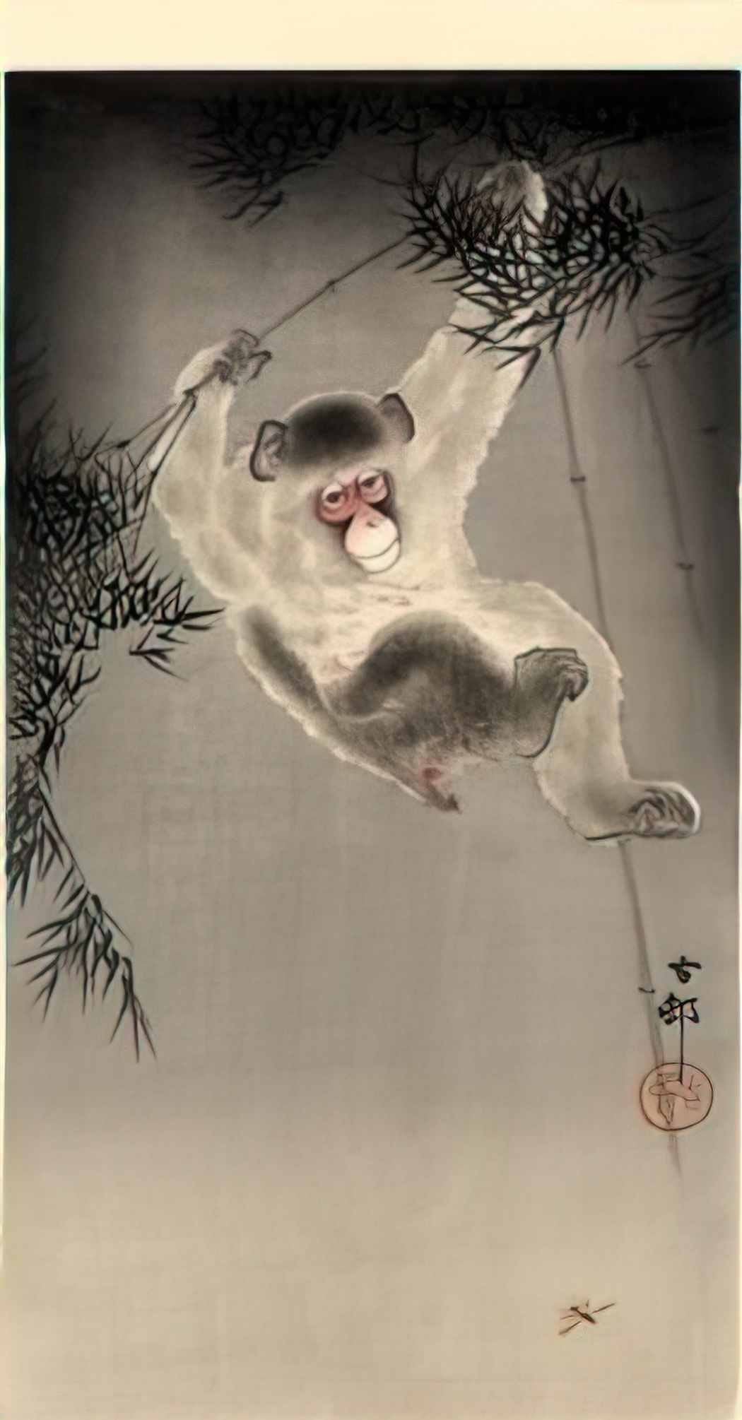 Ohara Koson monkey swinging from a bamboo branch observing a fly Art A4 Photo Print