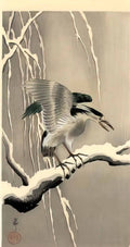 Ohara Koson night heron on a snowy branch Art A4 Photo Print