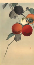 Ohara Koson nuthatch Art A4 Photo Print