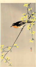 Ohara Koson orange breasted bird Art A4 Photo Print