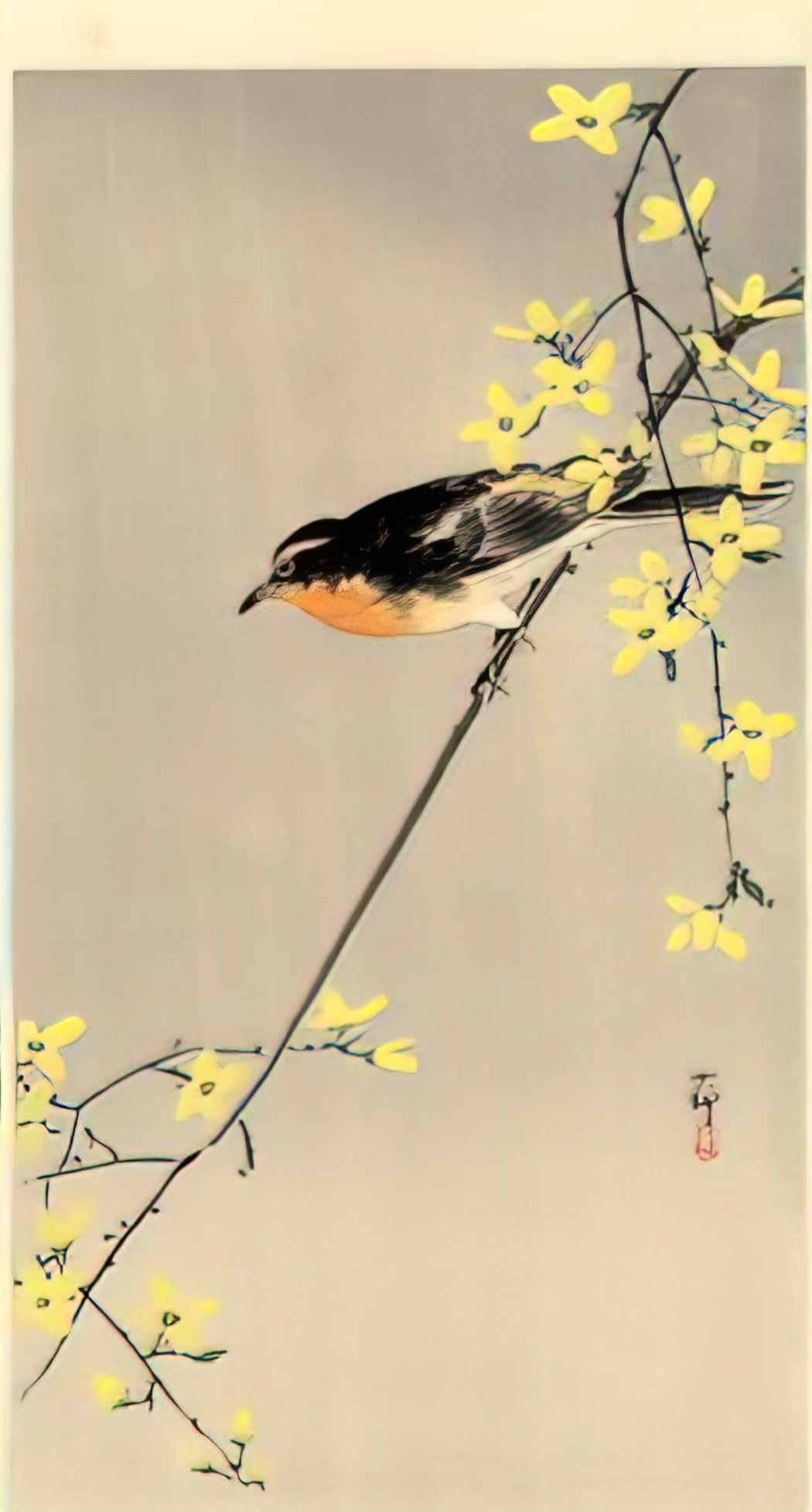 Ohara Koson orange breasted bird Art A4 Photo Print
