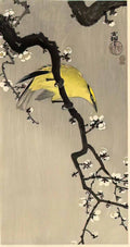 Ohara Koson oriole Art A4 Photo Print
