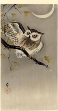 Ohara Koson owl on ginkgo branch scops owl under crescent moon Art A4 Photo Print
