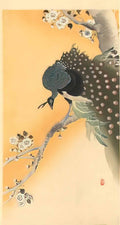 Ohara Koson peacock Art A4 Photo Print