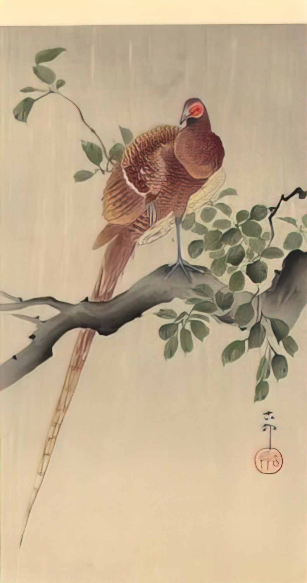 Ohara Koson pheasant on branch Art A4 Photo Print