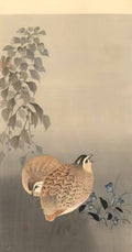 Ohara Koson quails Art A4 Photo Print