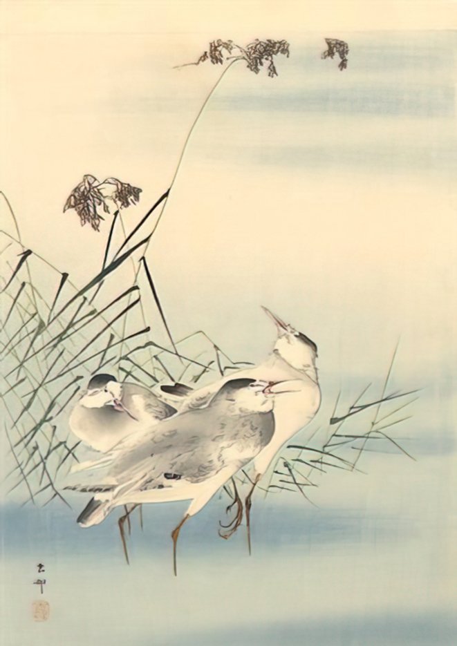 Ohara Koson sandpipers 2021 A4 Photo Print