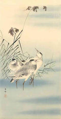 Ohara Koson sandpipers A4 Photo Print