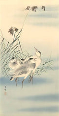 Ohara Koson sandpipers Art A4 Photo Print
