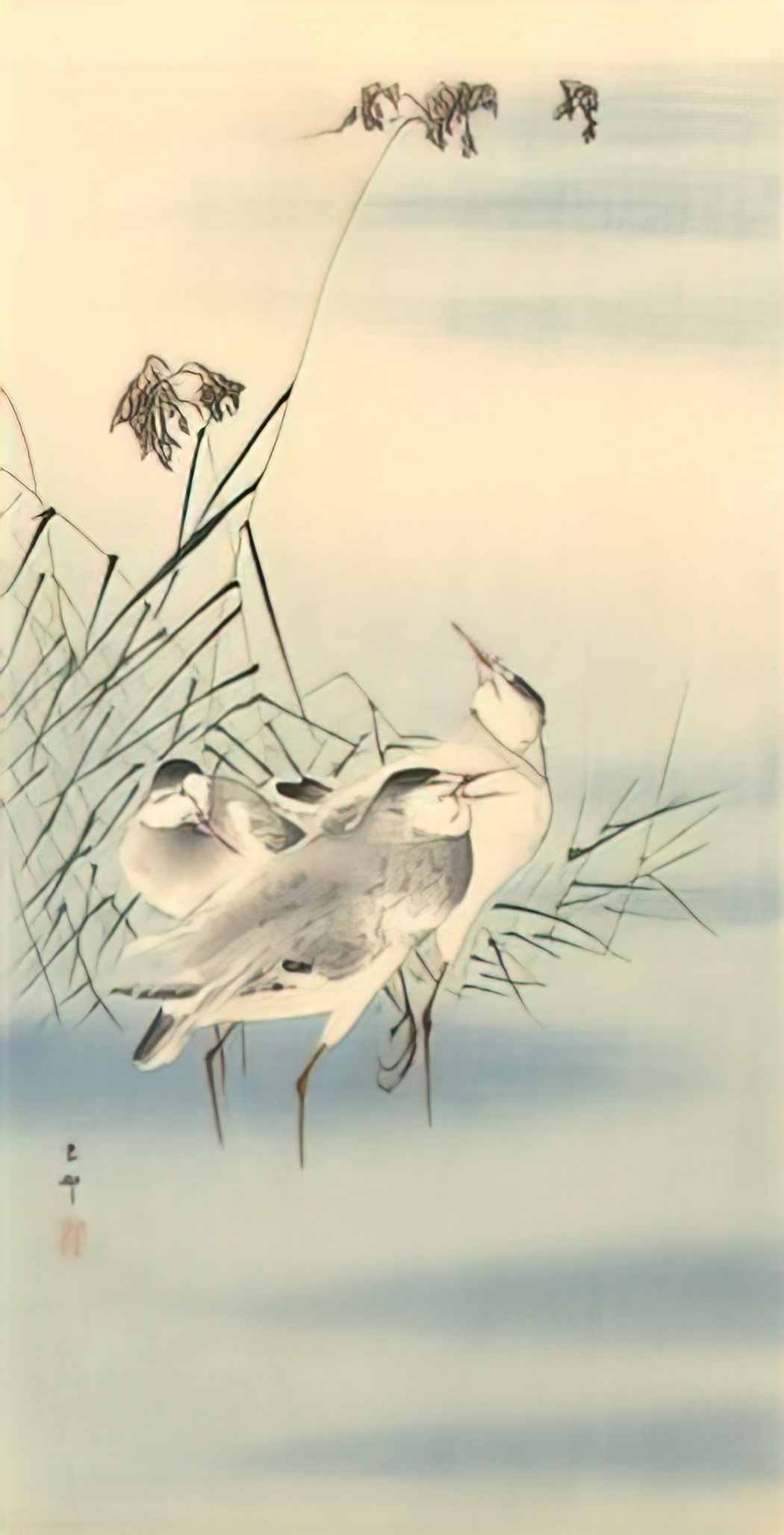 Ohara Koson sandpipers Art A4 Photo Print