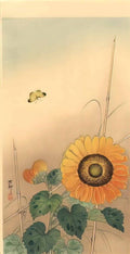 Ohara Koson small butterfly and sunflower Art A4 Photo Print