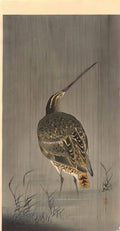 Ohara Koson snipe in rain Art A4 Photo Print