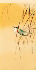 Ohara Koson songbird in reeds Art A4 Photo Print
