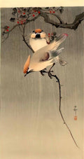 Ohara Koson starlings and cherry tree Art A4 Photo Print
