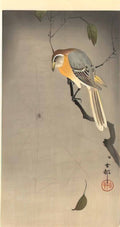 Ohara Koson the spiderweb Art A4 Photo Print