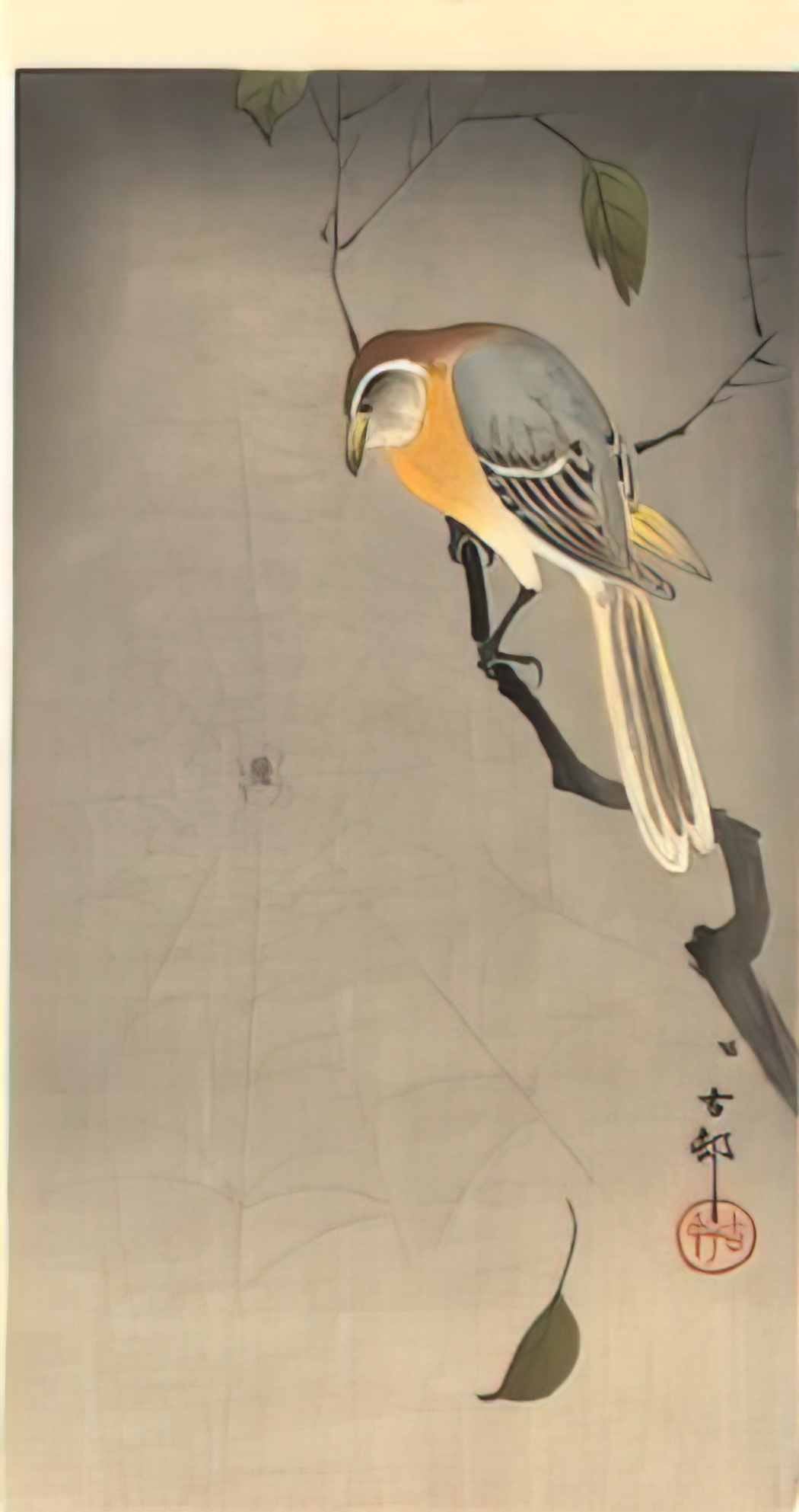 Ohara Koson the spiderweb Art A4 Photo Print