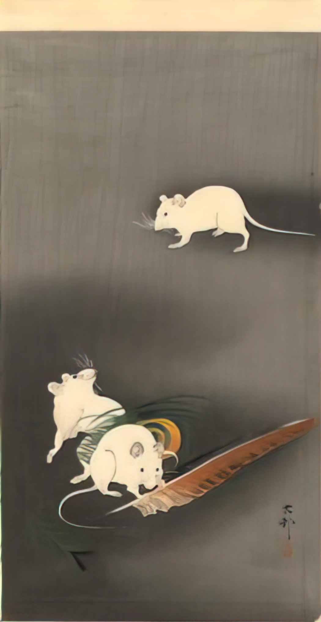 Ohara Koson three white mice 1900 Art A4 Photo Print