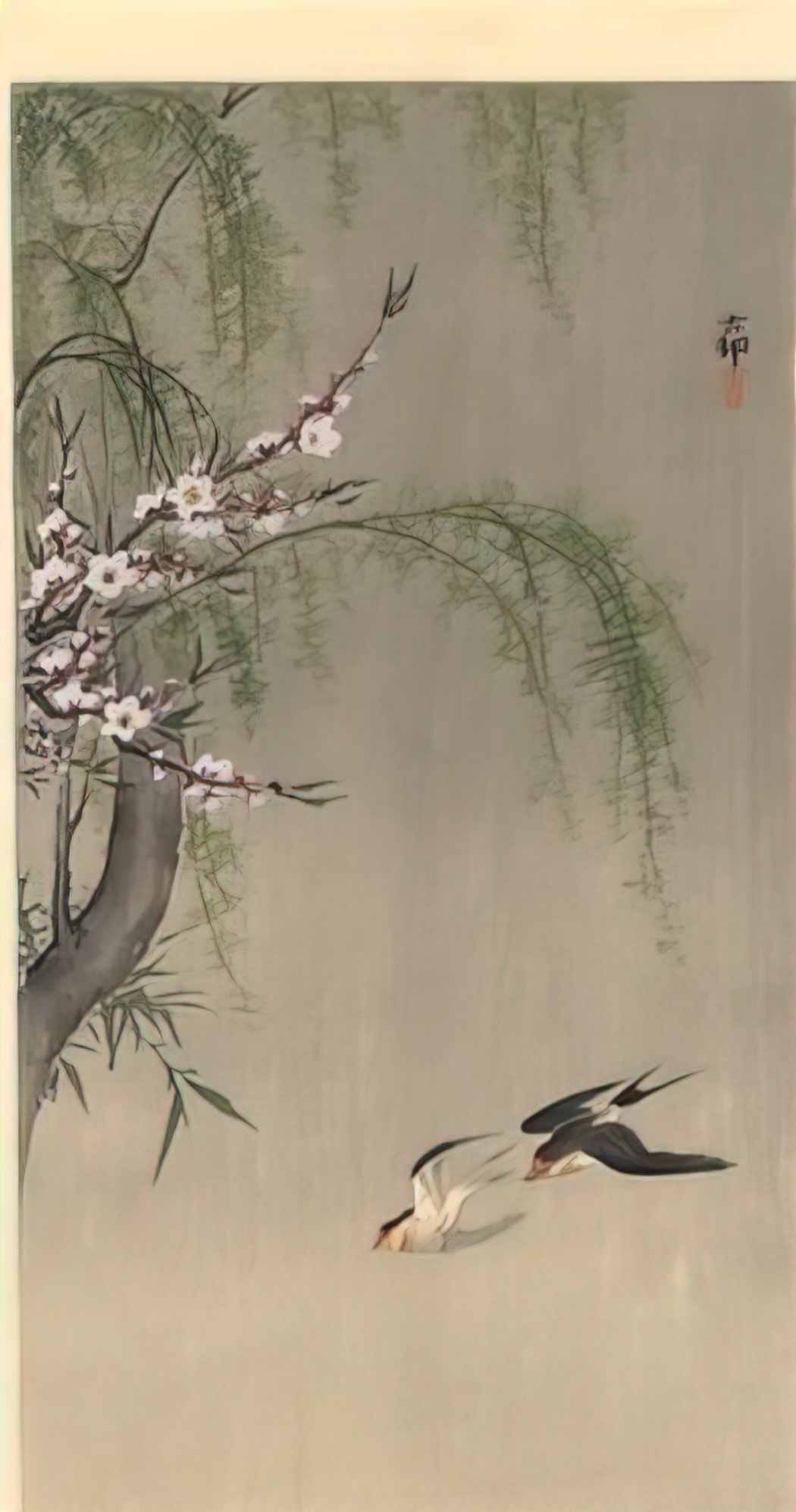 Ohara Koson two barn swallows in flight willow branch and flowering c Art A4 Photo Print