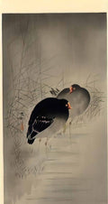 Ohara Koson two gallinules Art A4 Photo Print