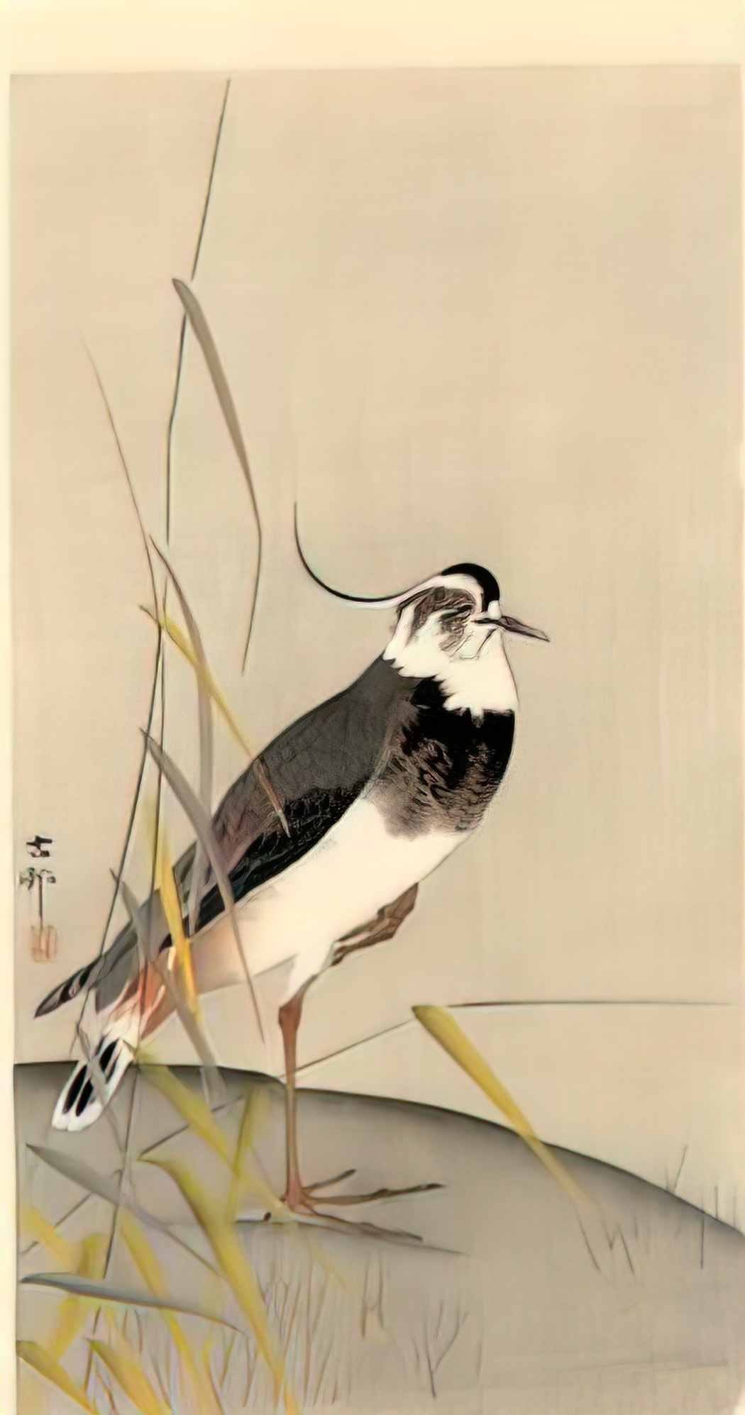 Ohara Koson wagtail Art A4 Photo Print