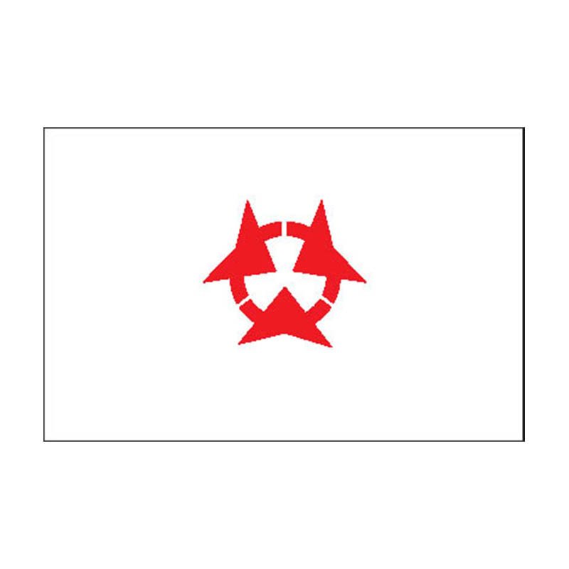 Oita Pref Flag N2590 A4 Photo Print