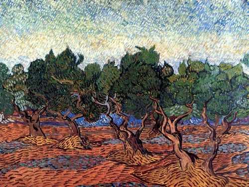 Olive Grove 1889 A4 Photo Print