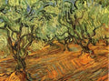 Olive Grove 5 Bright Blue Sky 1889 A4 Photo Print
