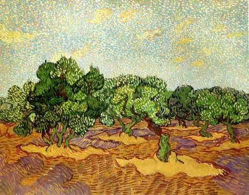 Olive Grove 5 Pale Blue Sky 1889 A4 Photo Print