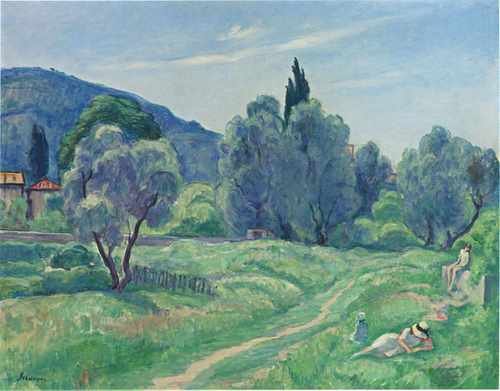Olive Trees In Afternoon At Cannes A4 Photo Print