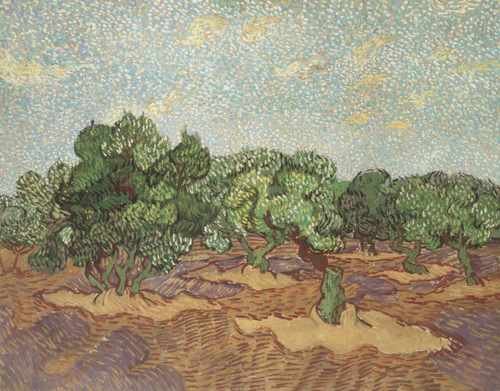 Olives Pale Blue Sky Saint Remy 1889 A4 Photo Print