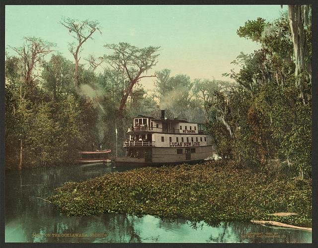 On the Ocklawaha Florida Vintage A4 Photo Print