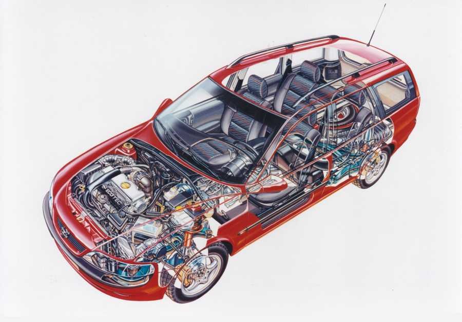 Opel Vectra Caravan 1996 cutaway A4 Photo Print
