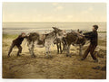 Opposition Vintage A4 Photo Print