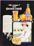 Orange Crush Drink Vintage Retro Advert Ads A4 Photo Print