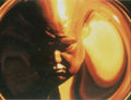 Orange Helmet Man 1990s Vintage Retro Advert