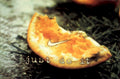 Orange Nike Swoosh 1990s Vintage Retro Advert