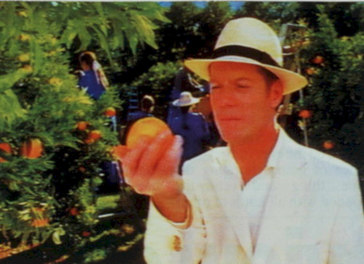 Oranges Grove Man 1990s Vintage Retro Advert