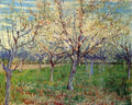 Orchard With Blossoming Apricot Trees 1888 A4 Photo Print