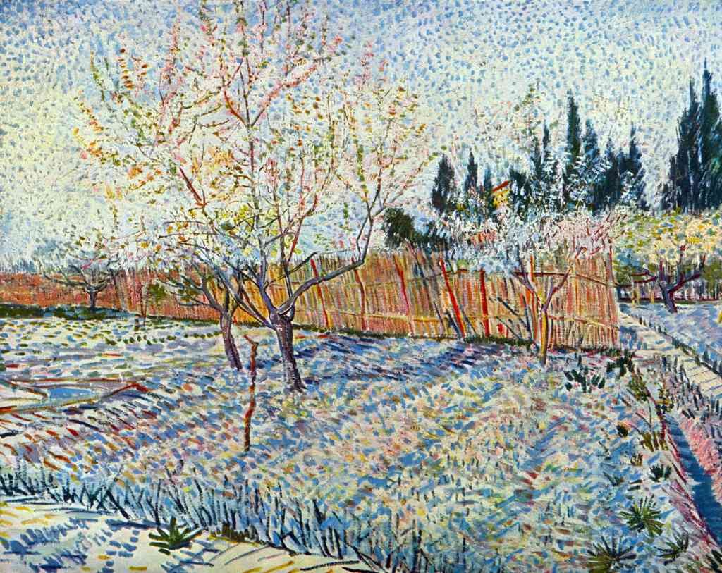 Orchard With Cypress Van Gogh A4 Photo Print