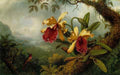 Orchids and Hummingbird ATC A4 Photo Print