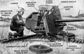 Ordnance Qf 2pdr 2 A4 Photo Print