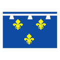 Orleanais Prov Flag N3142 A4 Photo Print