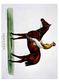 Ormonde Horse A4 Photo Print