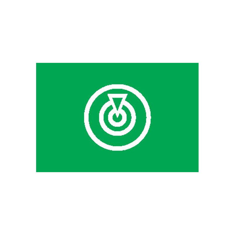 Oshima Island Flag N2394 A4 Photo Print