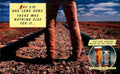 Oster Lager Outback 1980s Vintage Retro Advert