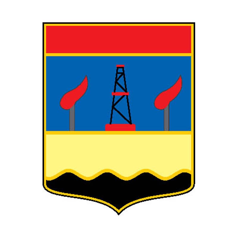 Otradny City Coat Of Arms N3870 A4 Photo Print