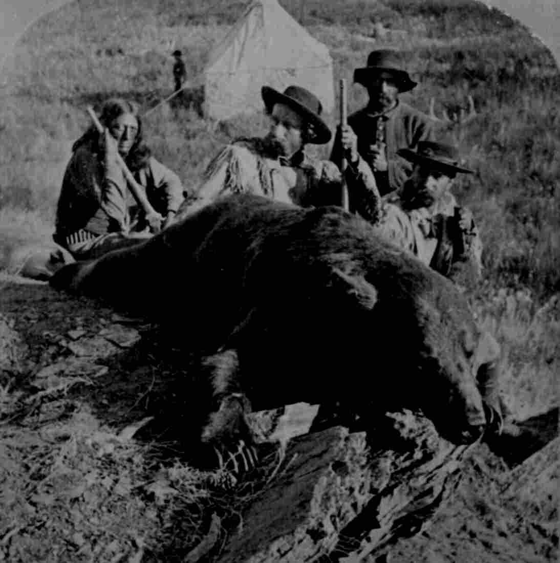 Our First Grizzly killed by Gen Custer and Col Ludlow By Military A4 Photo Print